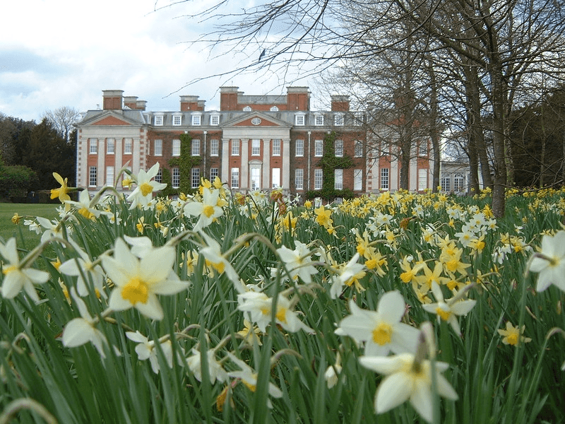 Hursley house with daffodils