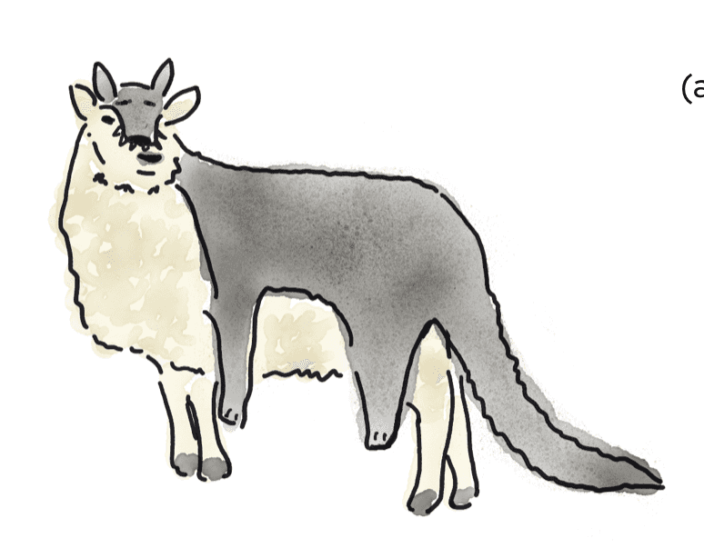 A drawing of a sheep in wolf's clothing