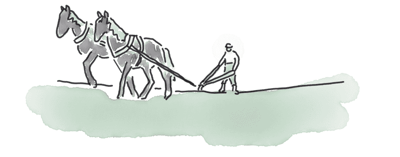 a pair of horses pulling a plough