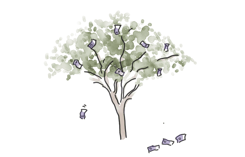 a money tree