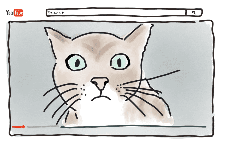 A cat video