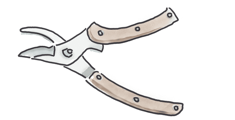 a pair of pruning shears